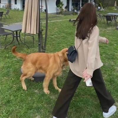 幸福是一条温暖的毛毯
